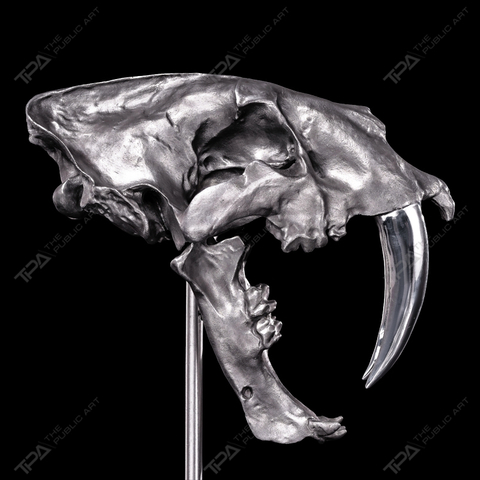 Artistic Sculpture of The Saber-toothed Tiger Skull