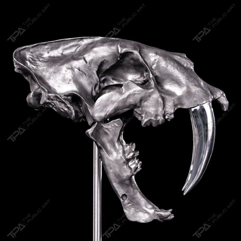 Artistic Sculpture of The Saber-toothed Tiger Skull