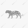 Stainless Steel Tiger Art Sculpture
