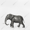 Asian male elephant art sculpture