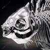 Stainless Steel Fish Skeleton Sculpture