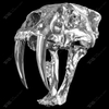 Artistic Sculpture of The Saber-toothed Tiger Skull