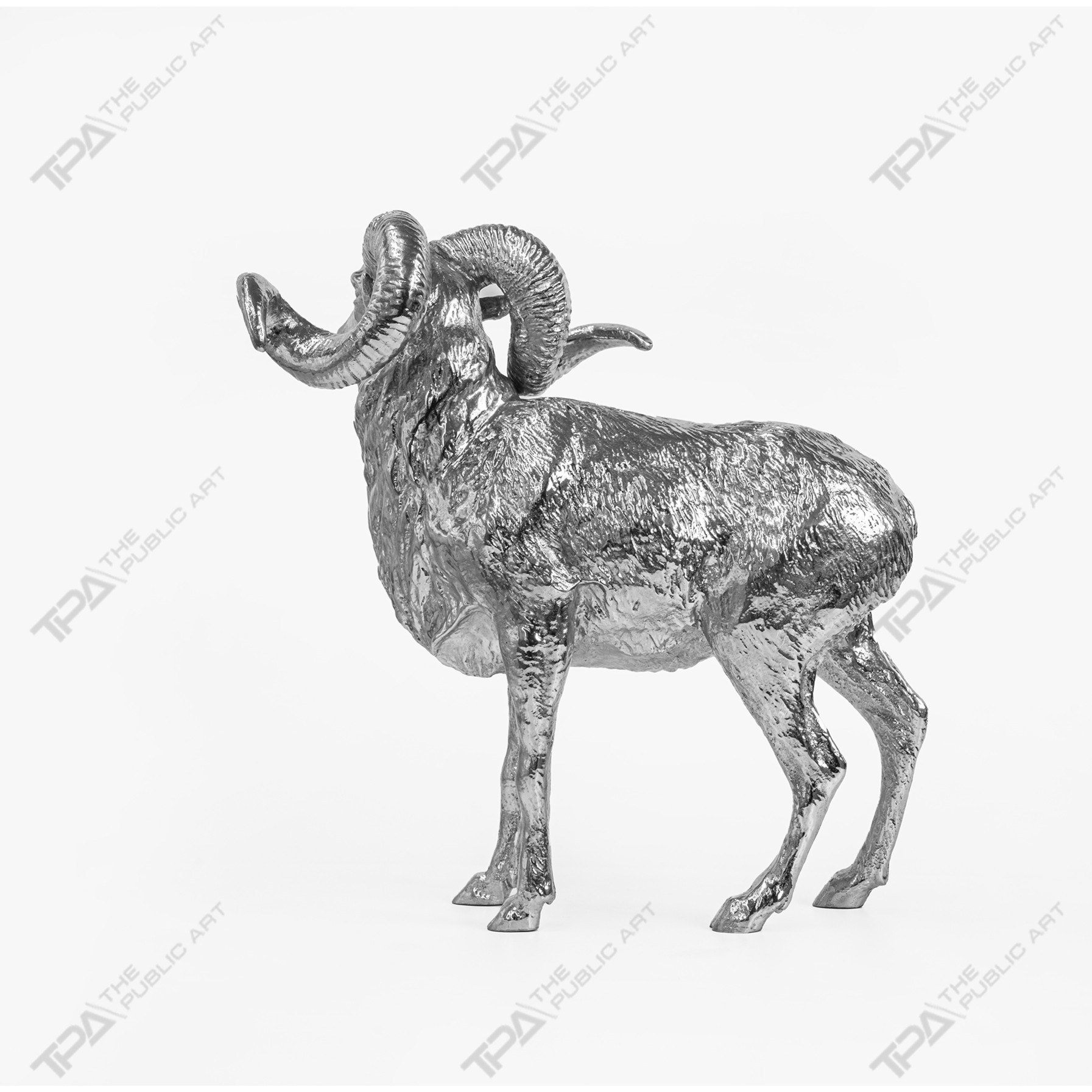 Argali Sheep Art Sculpture