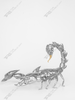 The Scorpion Sculpture of The Richest Region