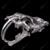 Artistic Sculpture of The Saber-toothed Tiger Skull