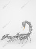The Scorpion Sculpture of The Richest Region