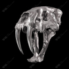 Artistic Sculpture of The Saber-toothed Tiger Skull