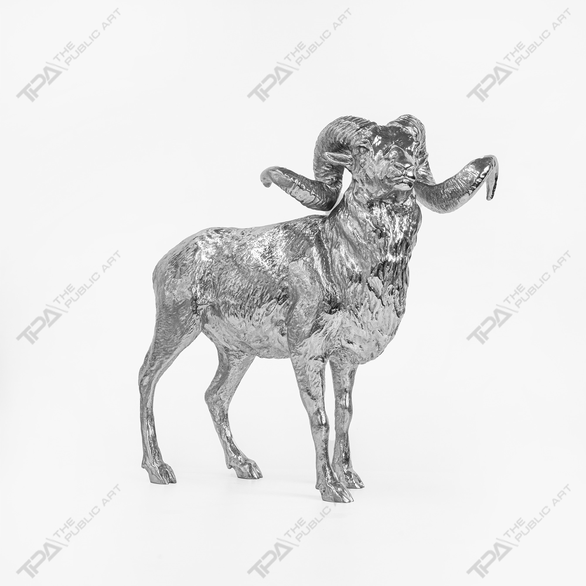 Argali Sheep Art Sculpture