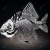 Stainless Steel Fish Skeleton Sculpture