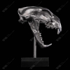 Stainless Steel Tiger Skull Sculpture