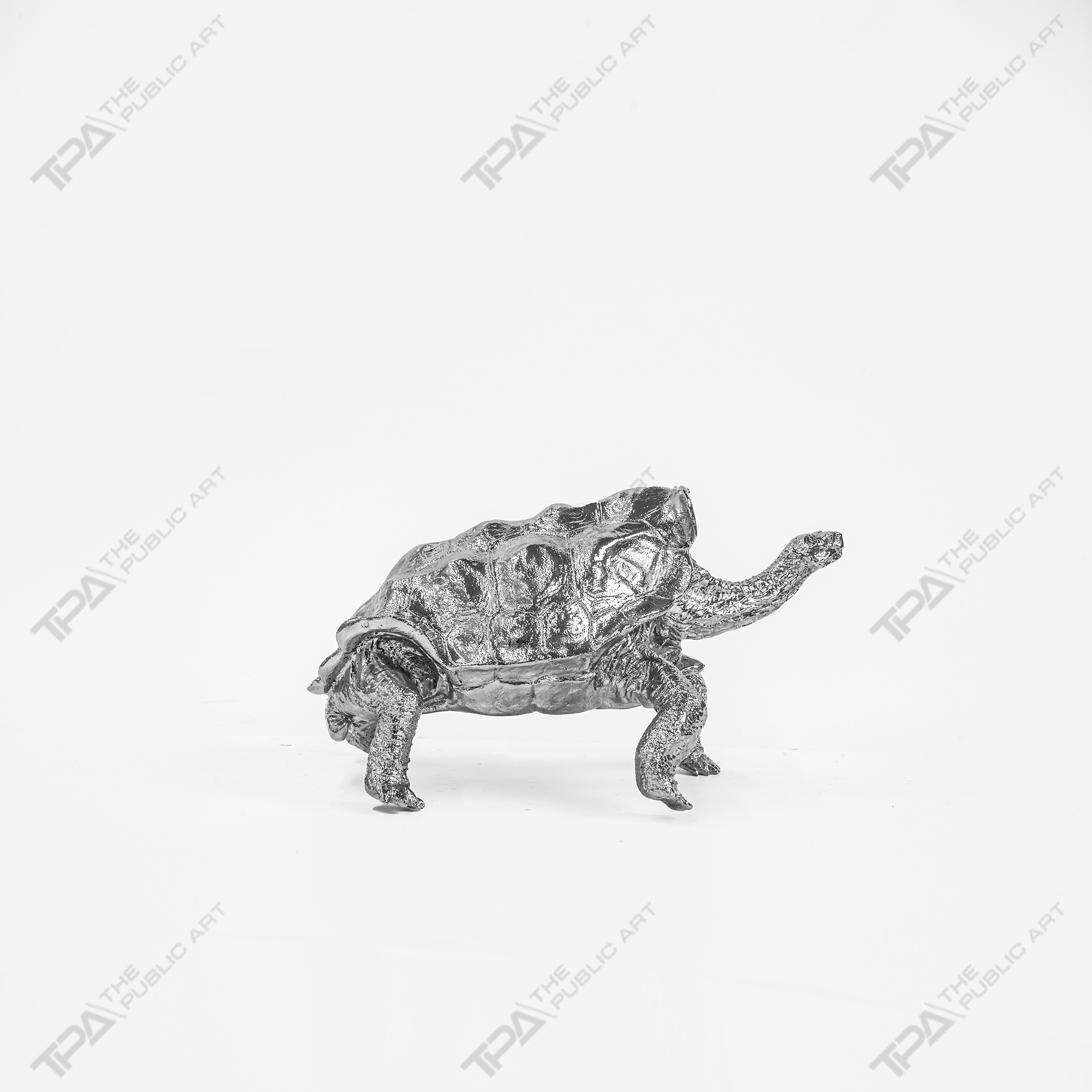 Long-lived Turtle Art Sculpture