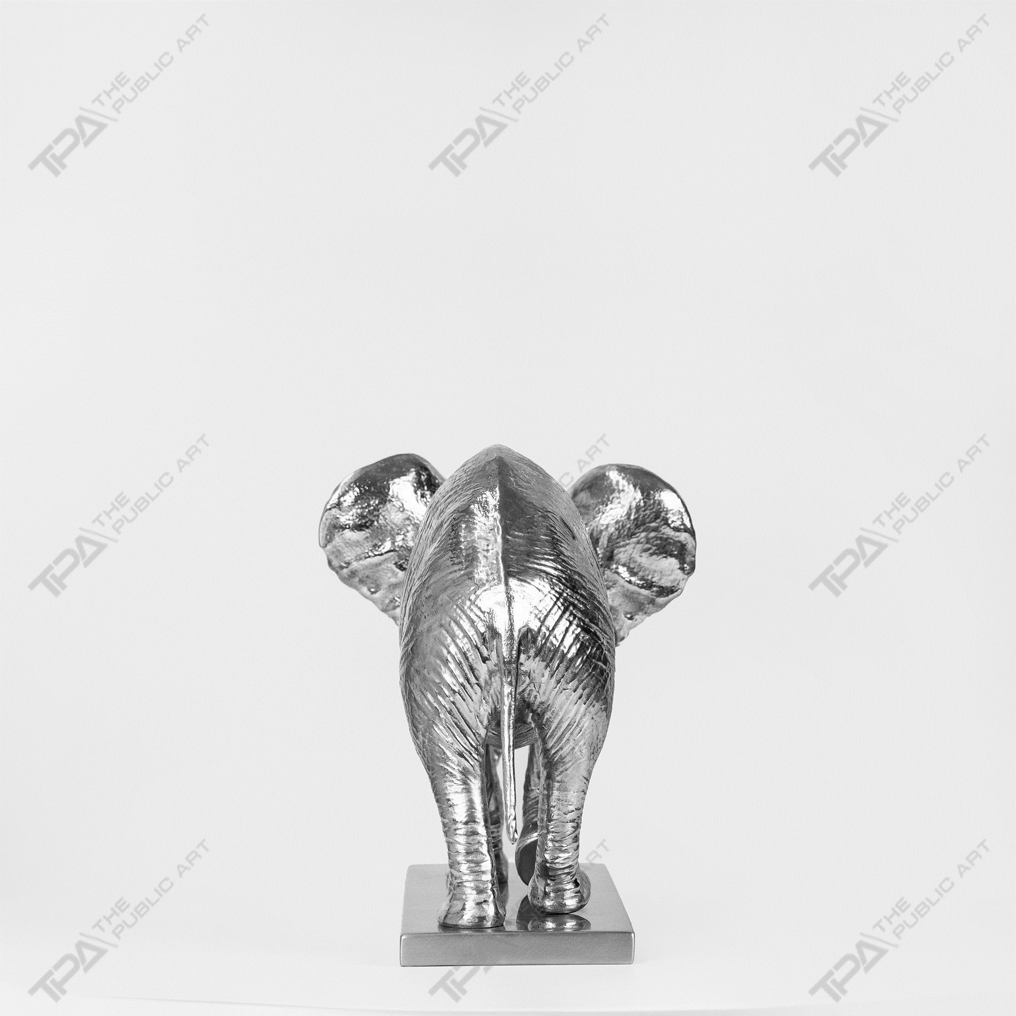 The Version of The Asian Female Elephant with A Base
