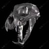 Stainless Steel Tiger Skull Sculpture