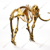 Stainless Steel Elephant Skeleton Sculpture