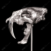 Artistic Sculpture of The Saber-toothed Tiger Skull