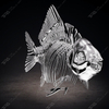 Stainless Steel Fish Skeleton Sculpture